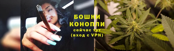 PSILOCYBIN Балахна