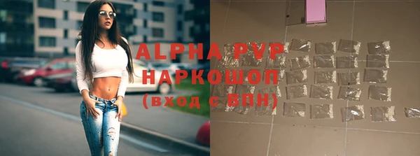 PSILOCYBIN Балахна