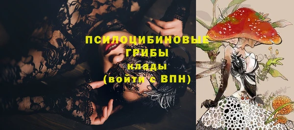 PSILOCYBIN Балахна
