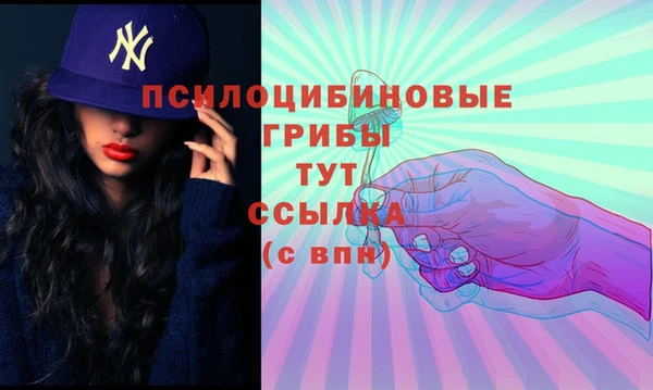 PSILOCYBIN Балахна