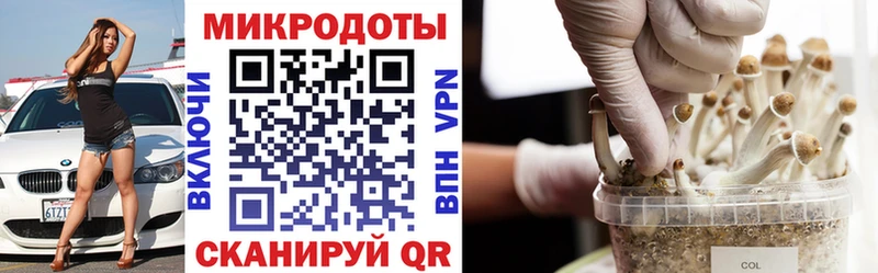 где купить наркотик  Уржум  Псилоцибиновые грибы прущие грибы 